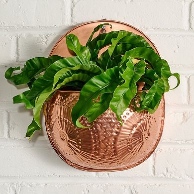 Dekhava Embossed Wall Planter