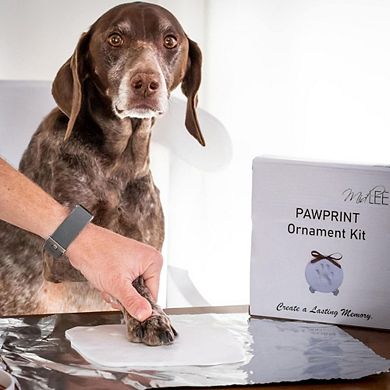 Midlee Christmas Clay Dog Paw Print Ornament Kit With Stand