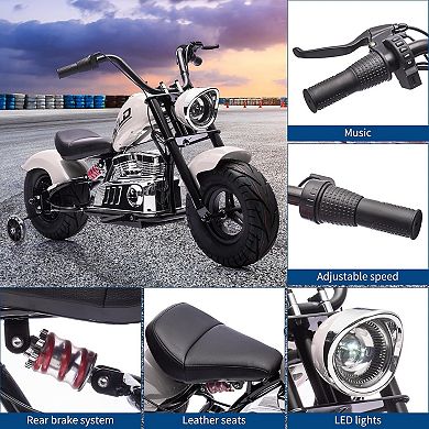 36V 350W Kids Electric Dirt Bike, w/Removable Training Wheels, 16.5MPH Max, Suspension, LED Lights