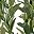 Green 7ft
