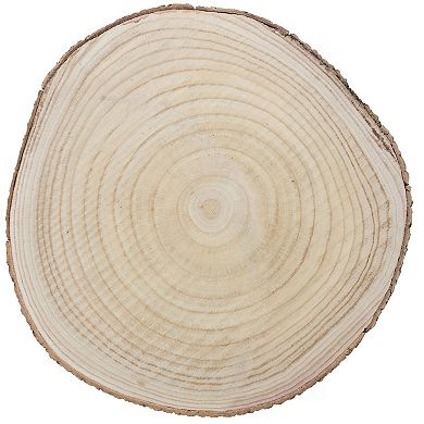 Barky Natural Wood Slabs Rustic Ornament Slice Tray Table Charger 18" set of 4