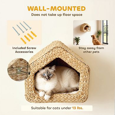 PawHut Wall Mounted Cat House, Cat Wall Furniture with Washable Cushion