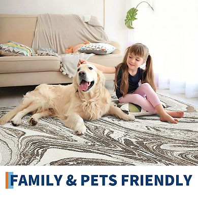 Abstract Machine Washable Rug with Rubber Backing Stain Resistant Thin Carpet