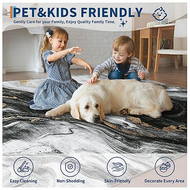 Modern Abstract Washable Area Rugs for Living Room Low Pile Non-Slip Soft Stain Resistant Rug