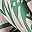 Green Pink