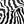 Back Zebra