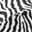 Back Zebra