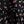 Black Maroon Floral