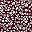 Maroon Floral