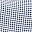 Navy Gingham