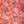 Orange Happy Paisley