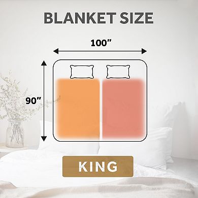 Sunbeam Nordic Plush Electric Heated Throw Blanket with Dual Controllers