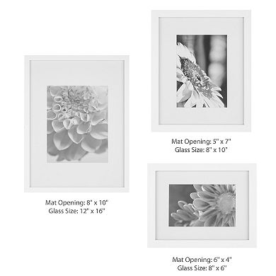 New View Gifts & Accessories Gallery Perfect 7-pc. Decorative Art Prints Picture Frame Set