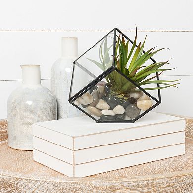 New View Gifts & Accessories Glass Terrarium
