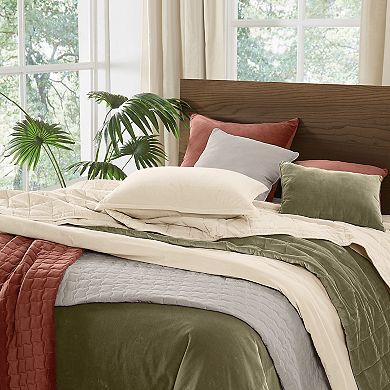 Brooklyn Loom Cotton Velvet Wavy Square Quilt Set with Shams