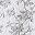 White Gray