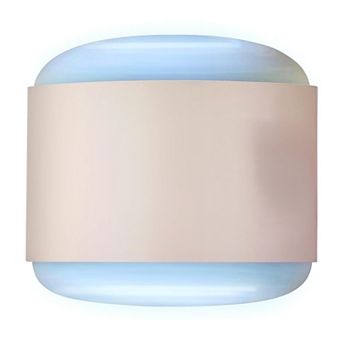 Flowtron 1200 sq.ft Indoor Sconce Fly Killer, 80W Indoor Insect Control with Dual Lure Method