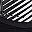 Black White