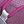 Lucid Fuschia
