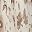 Tan Spot Texture