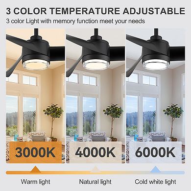 65-Inch Ceiling Fan with Light, 8 ABS Blades, 6-Speed DC Motor, Remote, Timer, 2 Downrods