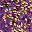 Purple Gold