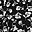 Black White Flowers