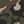 Field Khaki Heather