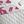 White Distilled Pink