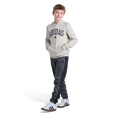 Boys 8-20 adidas Long Sleeve Collegiate Arch Hooded Pullover