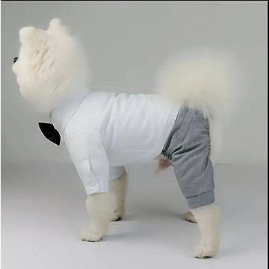 Pet White Button-up Shirt with Gray Trousers