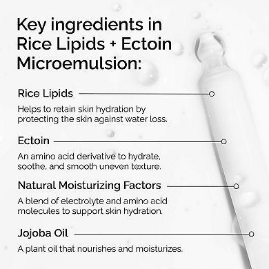 Rice Lipids + Ectoin Microemulsion Moisturizer for Soothing Hydration & Reduced Redness