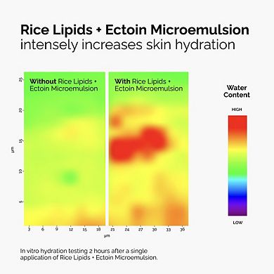 Rice Lipids + Ectoin Microemulsion Moisturizer for Soothing Hydration & Reduced Redness