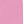 Carnation Pink