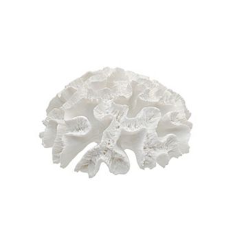 Everyday Decor White Coral Tabletop Decor