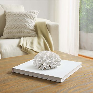 Everyday Decor White Coral Tabletop Decor