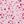 Pink Floral