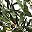 Green 5ft 1 Pack