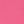 Pink Carnation