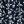 Navy Floral