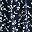 Navy Floral