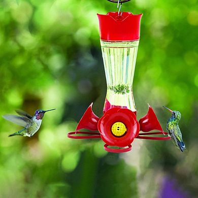 Perky Pet Clear Pinch Waist Glass Hummingbird Feeder - 8 oz