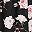 Black Floral