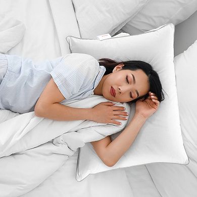 Cheer Collection Down Alternative Pillows (set Of 4)