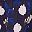 Purple Floral