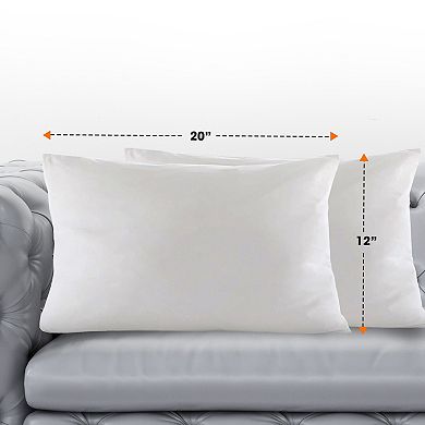 Cheer Collection Set of 2 Feather Down Throw Pillow Inserts for Couch Bed and Decorative Shams