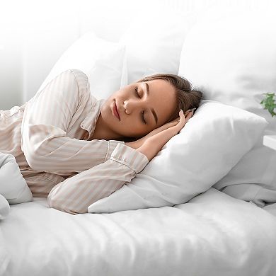 Cheer Collection Set of 2 Feather Down Throw Pillow Inserts for Couch Bed and Decorative Shams