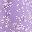 Purple Flower