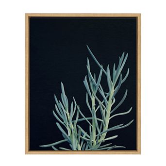 Sylvie Succulent 16 Framed Canvas by F2Images 18 in x 24 in