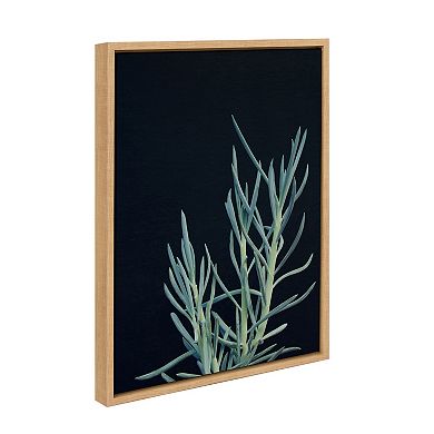 Sylvie Succulent 16 Framed Canvas by F2Images 18 in. x 24 in.